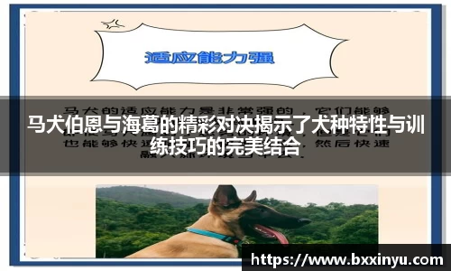 快盈VIII