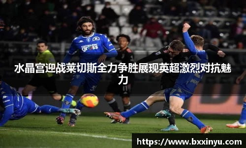 快盈VIII